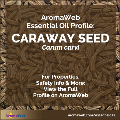 Caraway Seed Essential Oil Profile