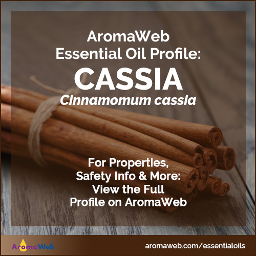 Cassia Essential Oil Profile