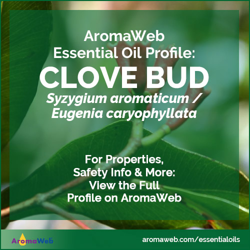 Clove Bud Essential Oil Profile