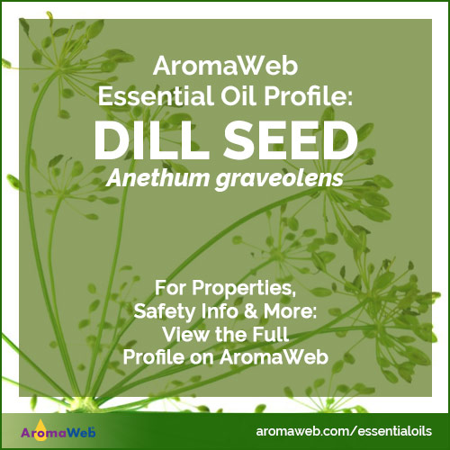 Dill Seed Essential Oil Profile