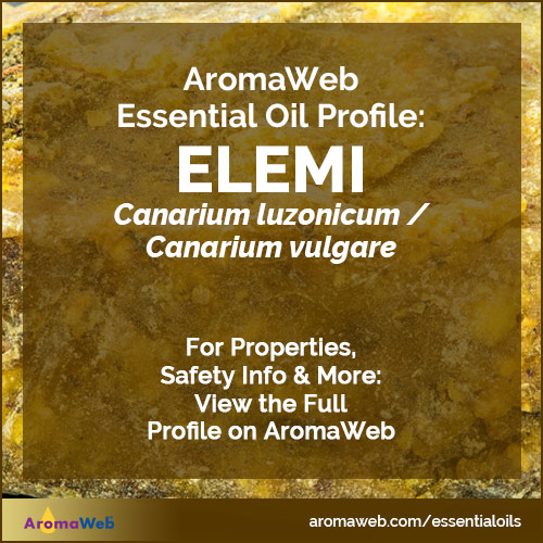 Elemi Essential Oil Profile