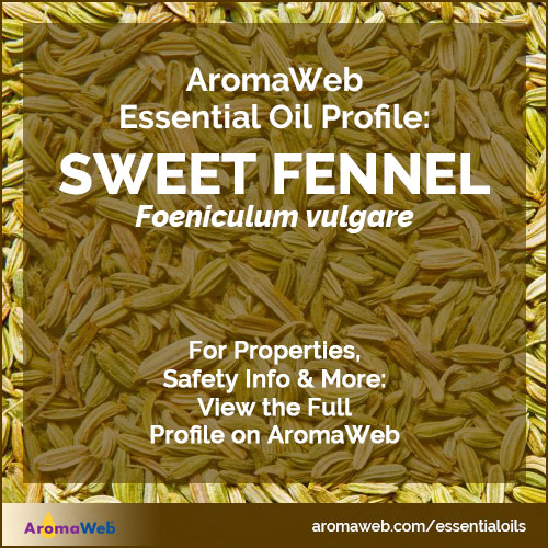 Fennel Essential Oil Profile