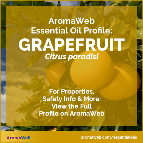 Grapefruit Essential Oil Uses and Benefits