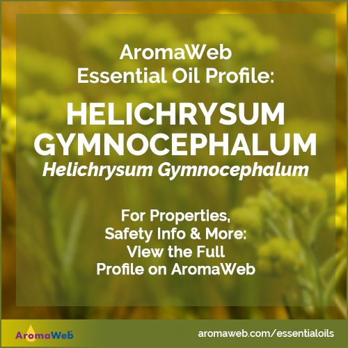 Helichrysum Gymnocephalum Essential Oil Profile