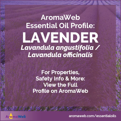 Photo of field of lavender with text that says AromaWeb Essential Oil Profile: Lavender