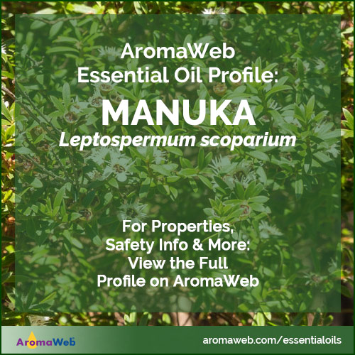Manuka Essential Oil Profile