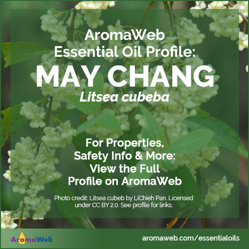 May Chang Essential Oil Profile