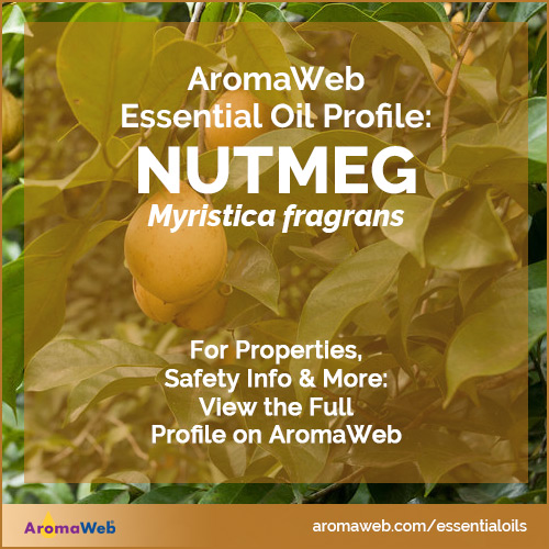 Nutmeg Essential Oil Profile