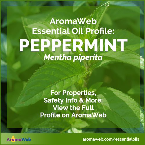 Photo of sprigs of peppermint growing in a garden with text that says AromaWeb Essential Oil Profile: Peppermint