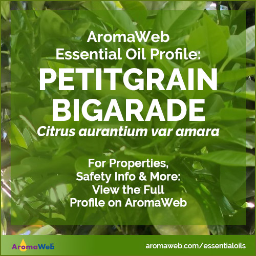 Petitgrain Bigarade Essential Oil Profile