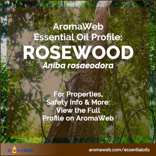 Rosewood Essential Oil Profile