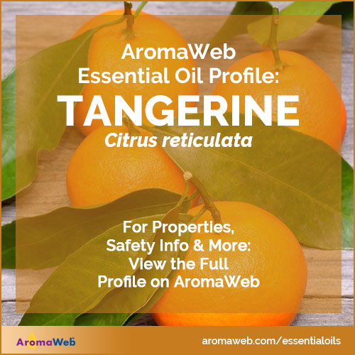 Tangerine Essential Oil Uses and Benefits AromaWeb