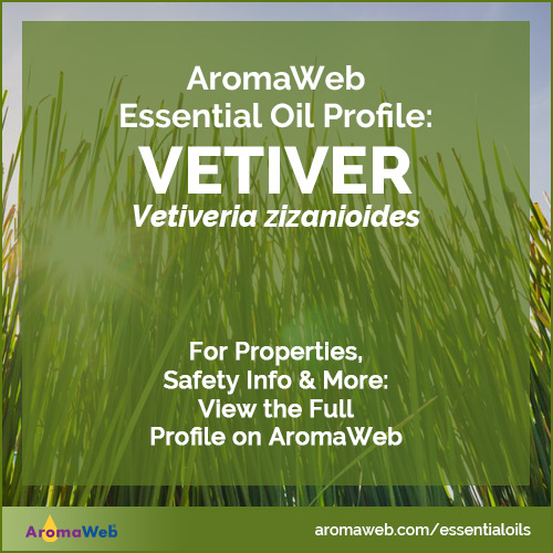 Vetiver Essential Oil Profile