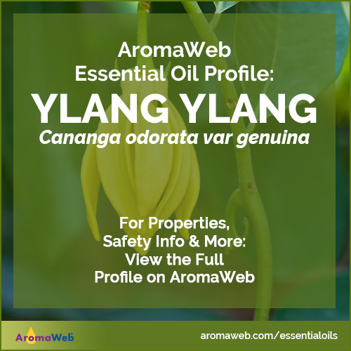 Ylang Ylang Essential Oil Profile