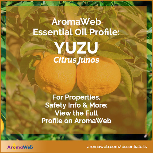Yuzu Essential Oil Profile